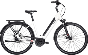 KETTLER ALU-RAD GOLD P5