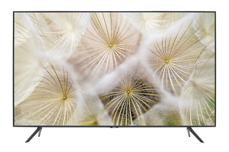 SAMSUNG UE55TU8000WXXN