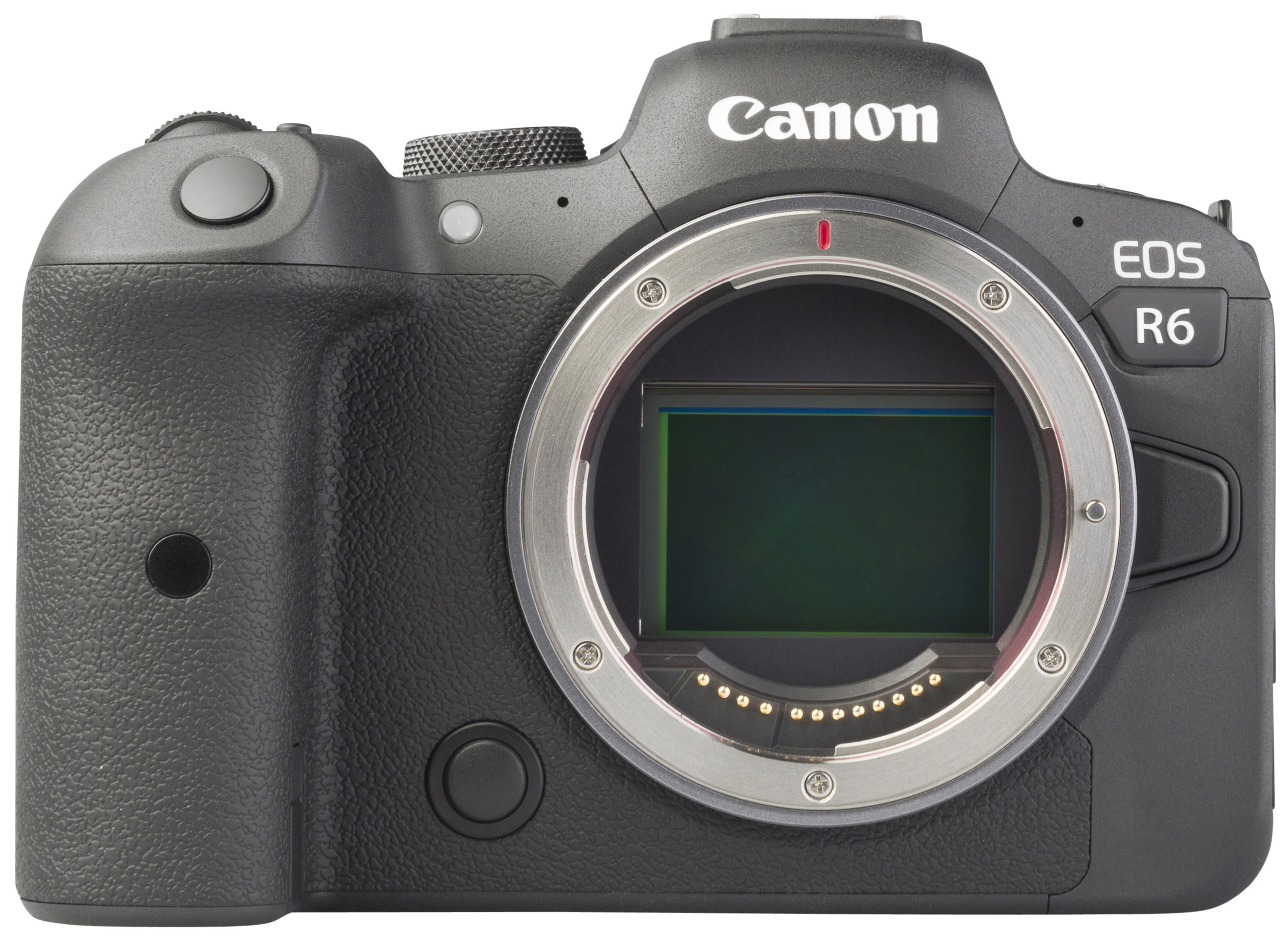 CANON EOS R6 + RF 24-105