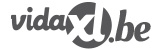 VIDAXL
