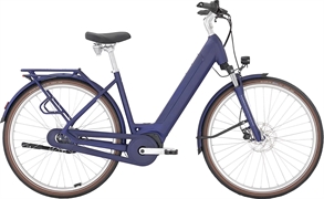 PEGASUS PASSION EVO 500WH