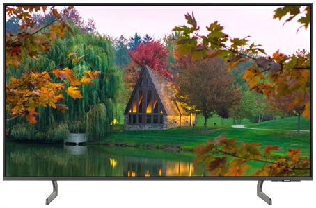 SAMSUNG QE43Q64C